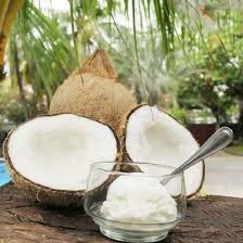 🥥Dừa Sáp - Hồng Ngọc Trà Vinh